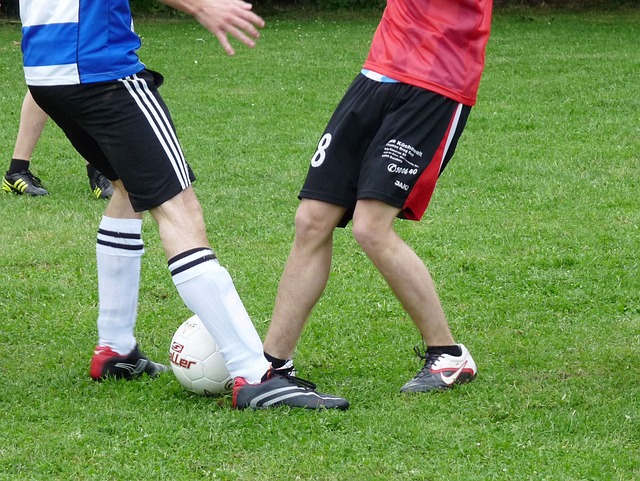 罗等在近年 罗等在近年