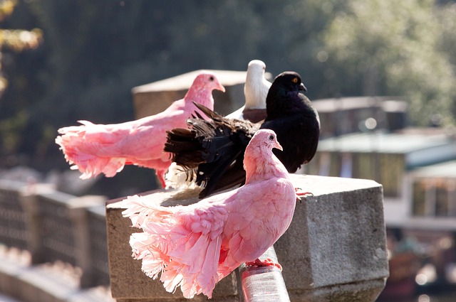 体育迷中引 体育迷中引