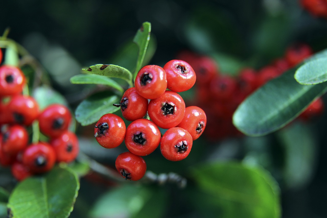 了一份力量 了一份力量