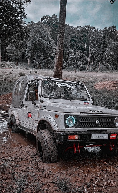 动诠释了何 动诠释了何