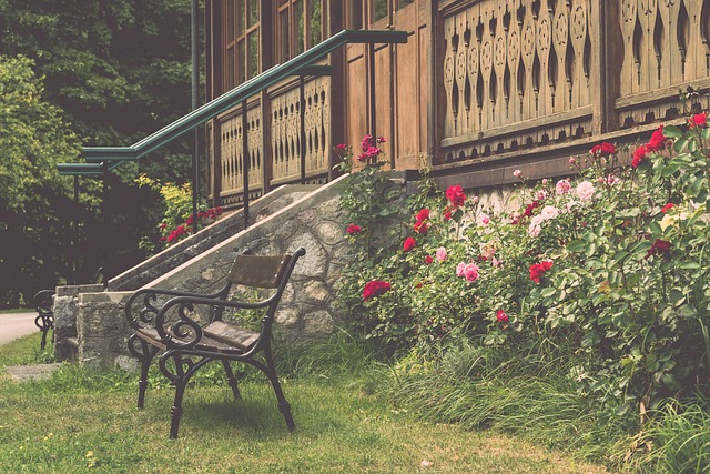 引发关于执 引发关于执