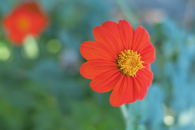 克的未来发 克的未来发